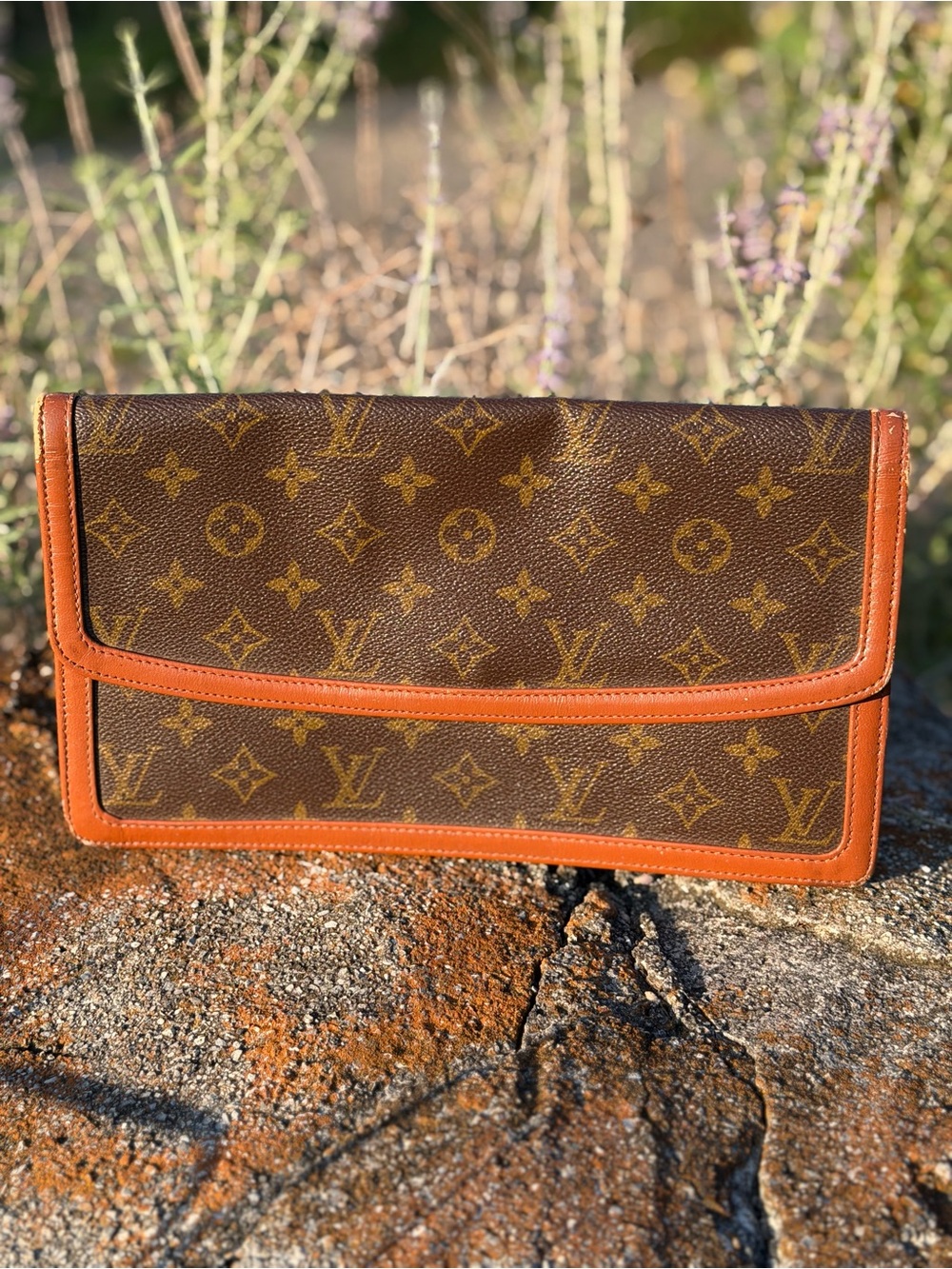 Louis Vuitton Dame clutch
